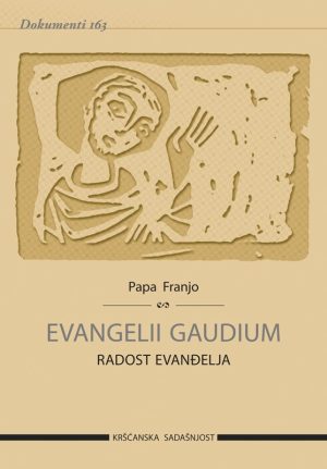 Evangelii Gaudium. Radost evanđelja (D-163)