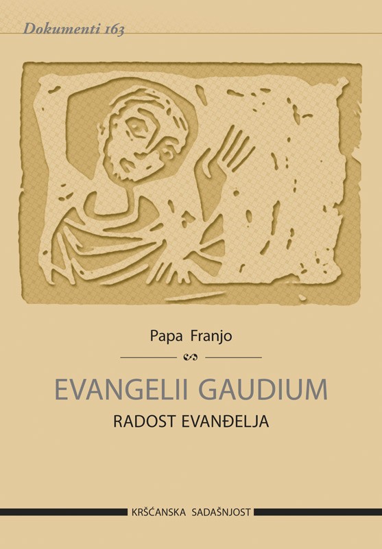 Evangelii Gaudium. Radost evanđelja (D-163)
